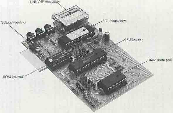 Sinclair ZX81 Motherboard