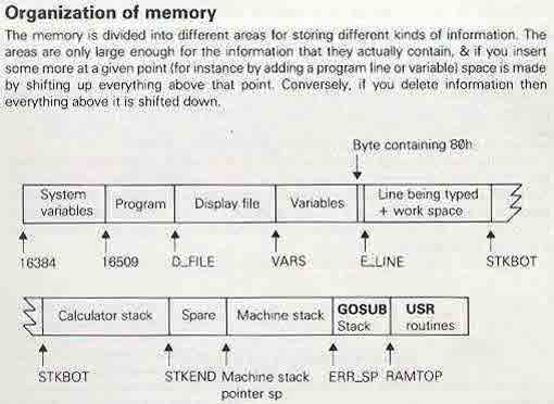 Sinclair ZX81 Memory Organization